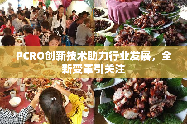 PCRO创新技术助力行业发展，全新变革引关注