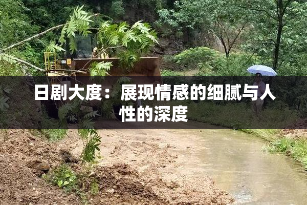 日剧大度：展现情感的细腻与人性的深度