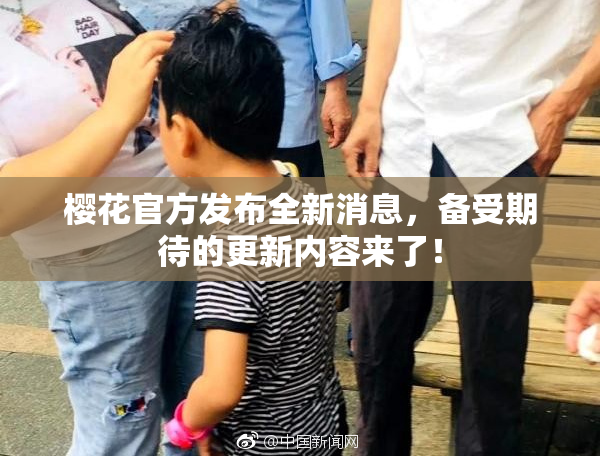 樱花官方发布全新消息，备受期待的更新内容来了！