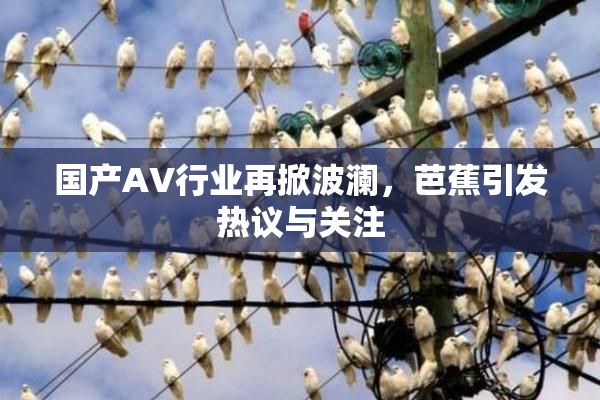 国产AV行业再掀波澜，芭蕉引发热议与关注