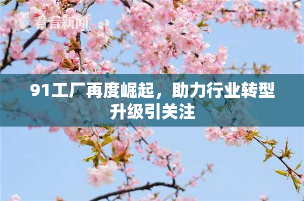 91工厂再度崛起，助力行业转型升级引关注