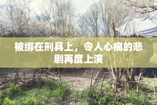 被绑在刑具上，令人心痛的悲剧再度上演
