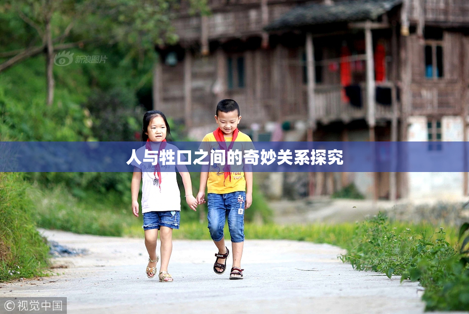 人与牲口之间的奇妙关系探究