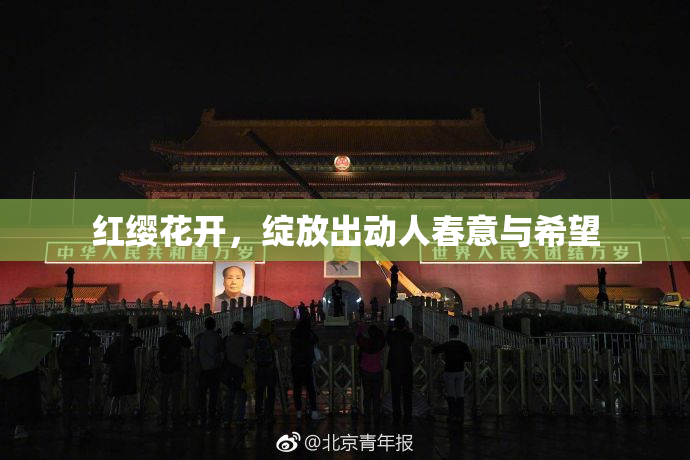 红缨花开，绽放出动人春意与希望