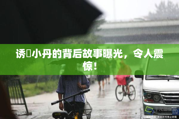 诱奷小丹的背后故事曝光，令人震惊！