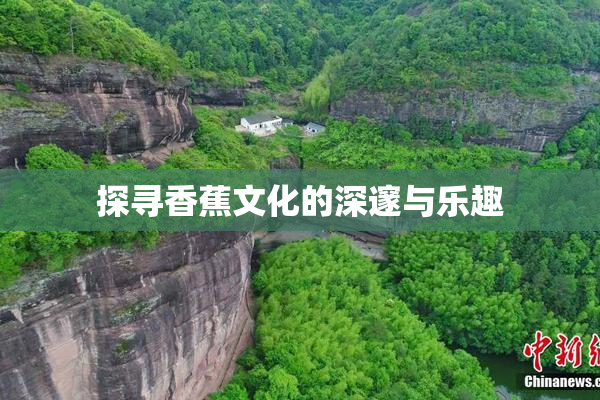 探寻香蕉文化的深邃与乐趣