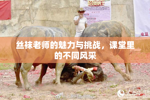 丝袜老师的魅力与挑战，课堂里的不同风采
