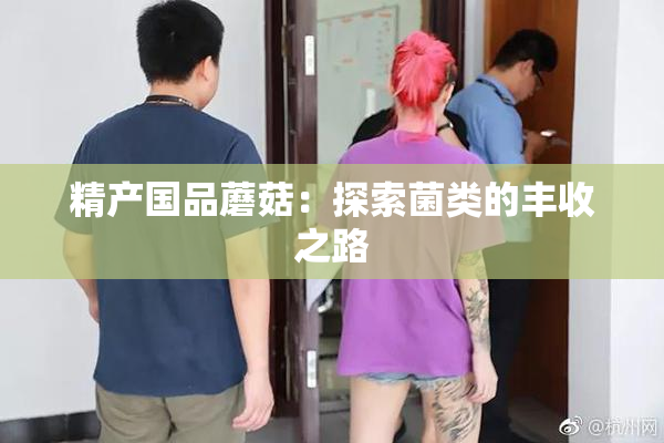 精产国品蘑菇：探索菌类的丰收之路