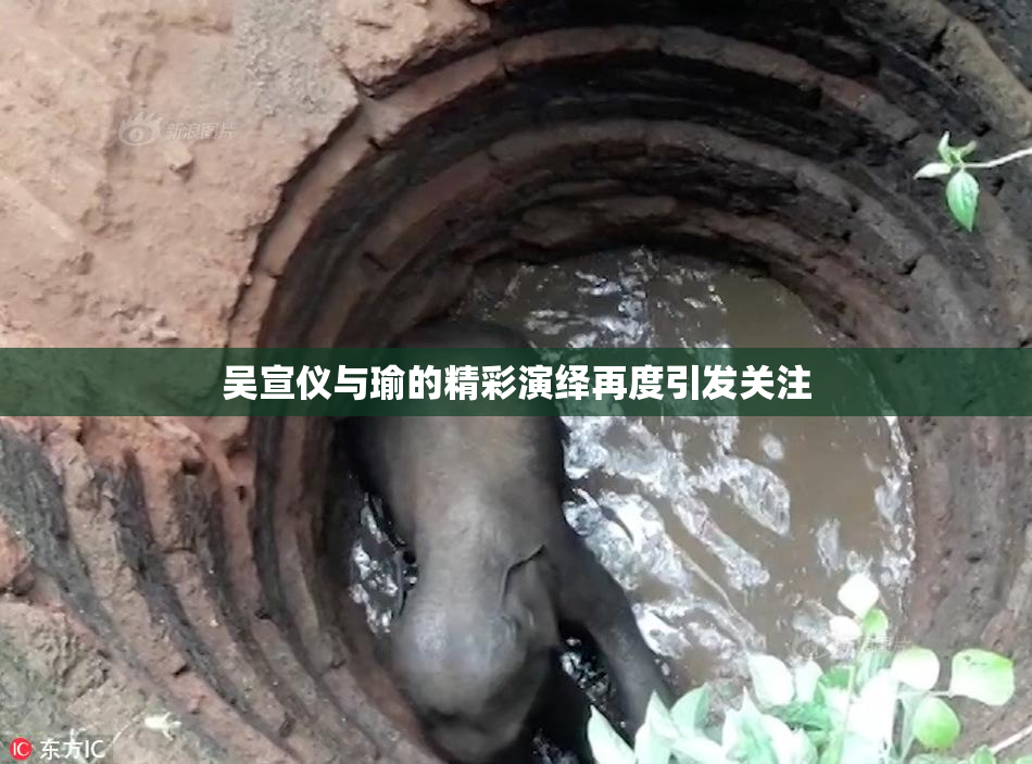 吴宣仪与瑜的精彩演绎再度引发关注