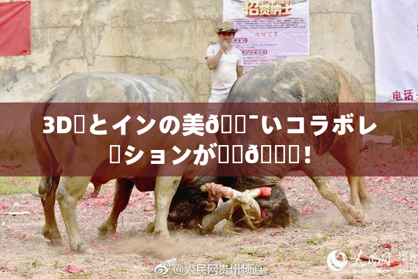 3D姉とインの美🔯いコラボレーションが話題🎆！