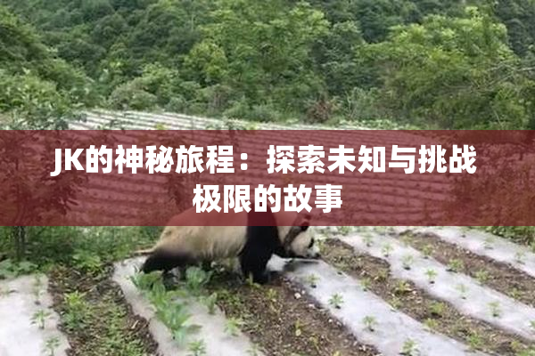 JK的神秘旅程：探索未知与挑战极限的故事