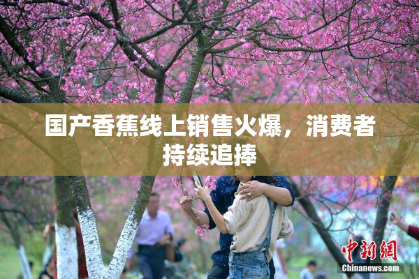 国产香蕉线上销售火爆，消费者持续追捧