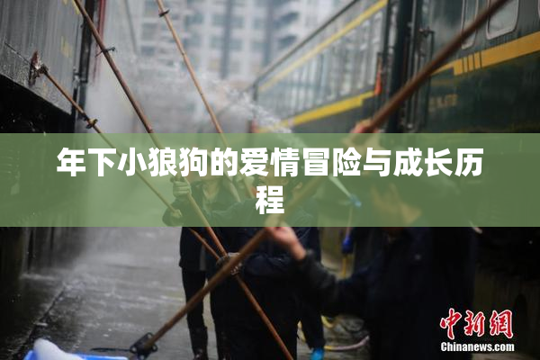 年下小狼狗的爱情冒险与成长历程