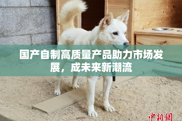 国产自制高质量产品助力市场发展，成未来新潮流