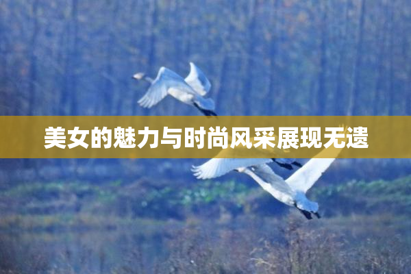 美女的魅力与时尚风采展现无遗