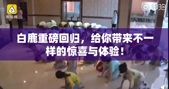 白鹿重磅回归，给你带来不一样的惊喜与体验！