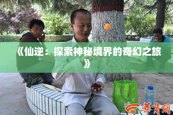 《仙逆：探索神秘境界的奇幻之旅》