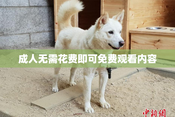 成人无需花费即可免费观看内容