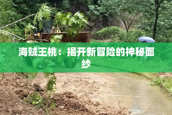 海贼王桃：揭开新冒险的神秘面纱