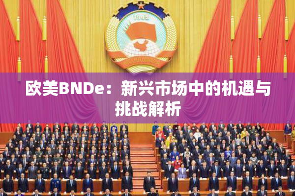 欧美BNDe：新兴市场中的机遇与挑战解析