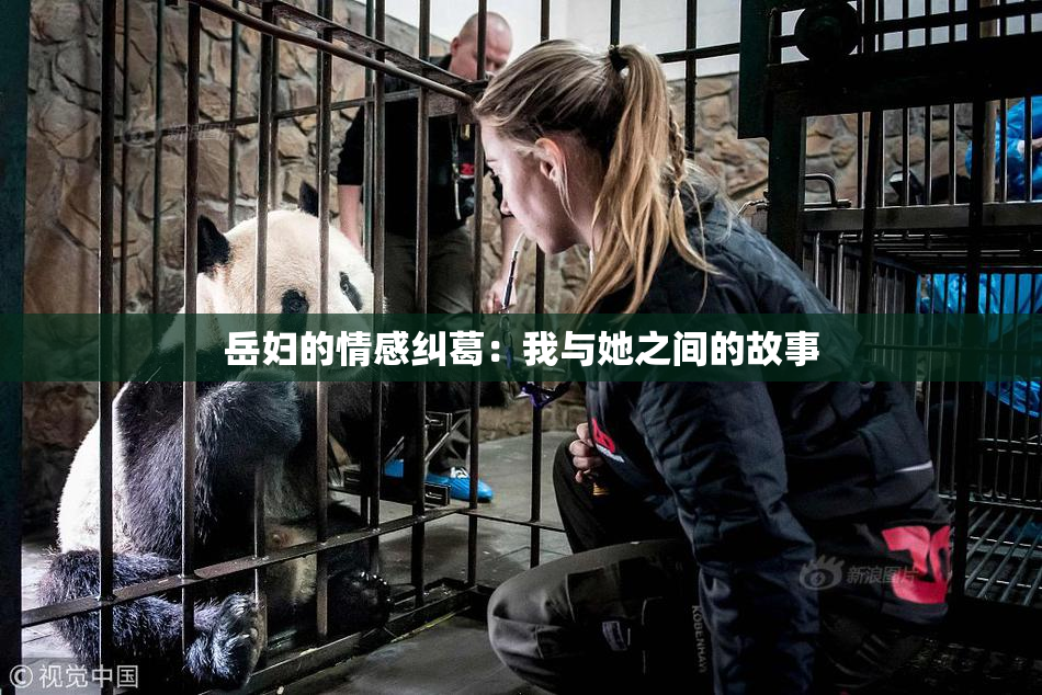 岳妇的情感纠葛：我与她之间的故事