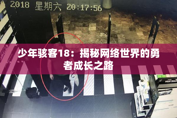 少年骇客18：揭秘网络世界的勇者成长之路