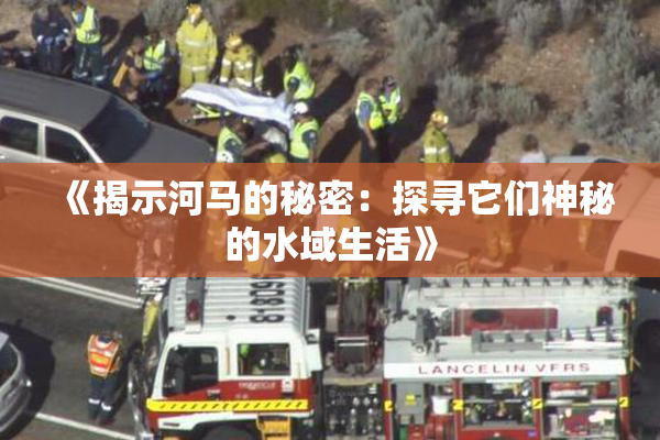 《揭示河马的秘密：探寻它们神秘的水域生活》