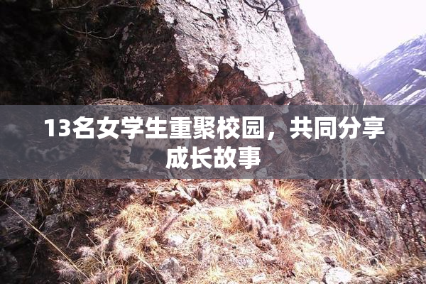 13名女学生重聚校园，共同分享成长故事