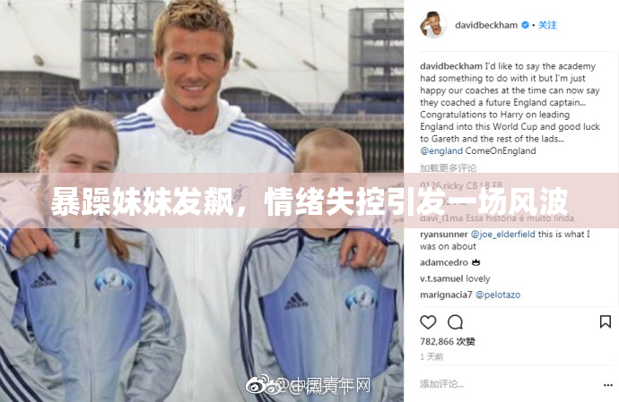 暴躁妹妹发飙，情绪失控引发一场风波
