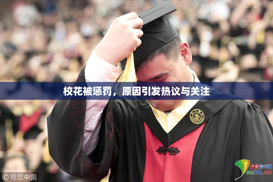校花被惩罚，原因引发热议与关注