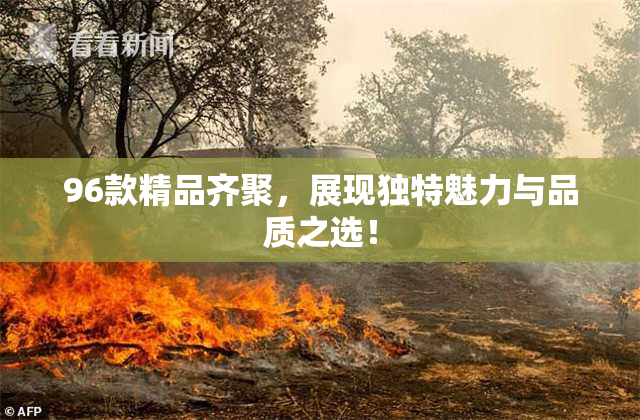 96款精品齐聚，展现独特魅力与品质之选！