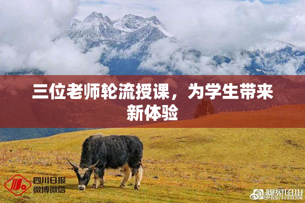 三位老师轮流授课，为学生带来新体验