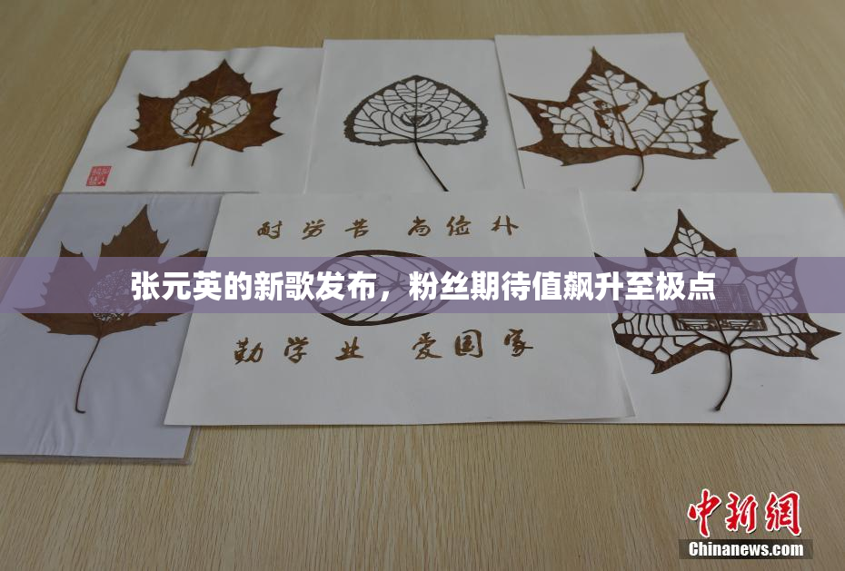 张元英的新歌发布，粉丝期待值飙升至极点