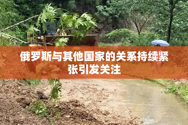 俄罗斯与其他国家的关系持续紧张引发关注