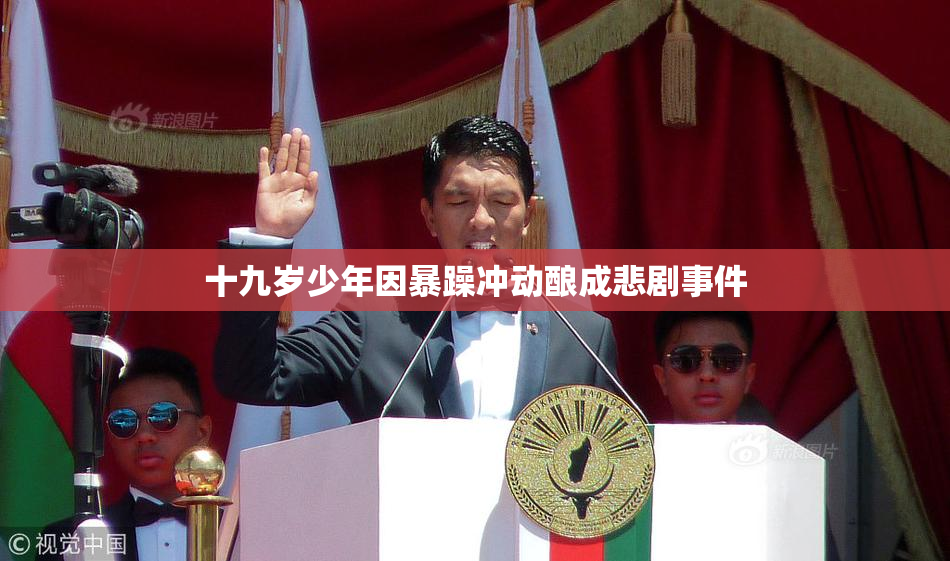 十九岁少年因暴躁冲动酿成悲剧事件