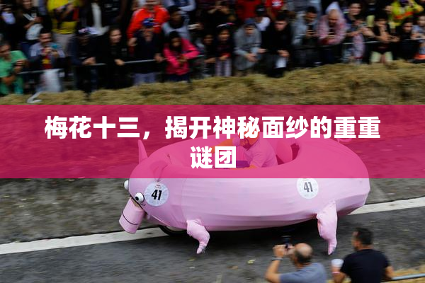 梅花十三，揭开神秘面纱的重重谜团