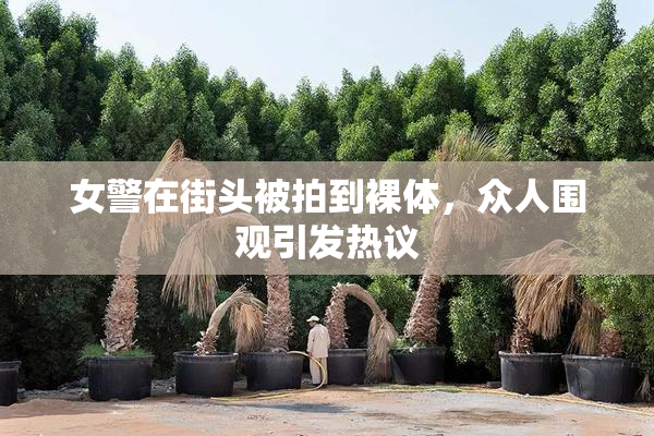 女警在街头被拍到裸体，众人围观引发热议