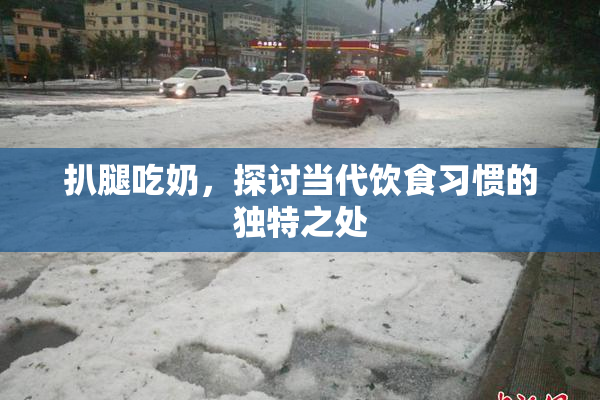 扒腿吃奶，探讨当代饮食习惯的独特之处