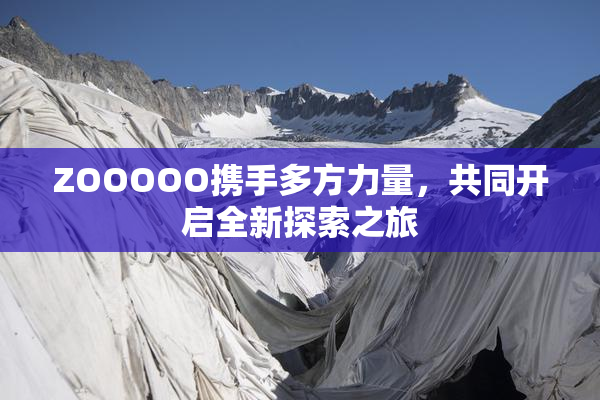 ZOOOOO携手多方力量，共同开启全新探索之旅