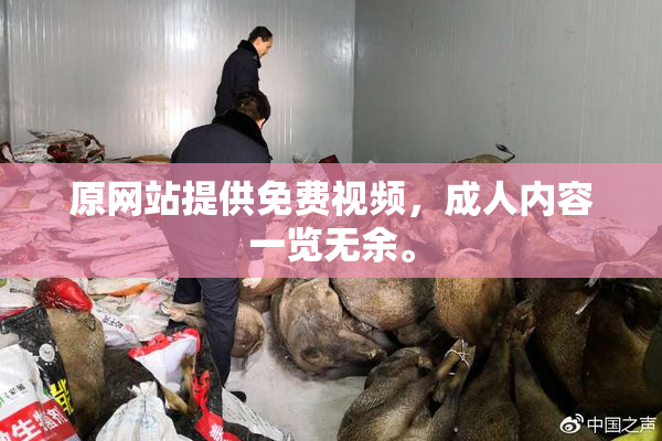 原网站提供免费视频，成人内容一览无余。