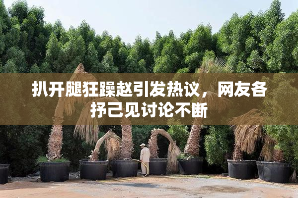 扒开腿狂躁赵引发热议，网友各抒己见讨论不断