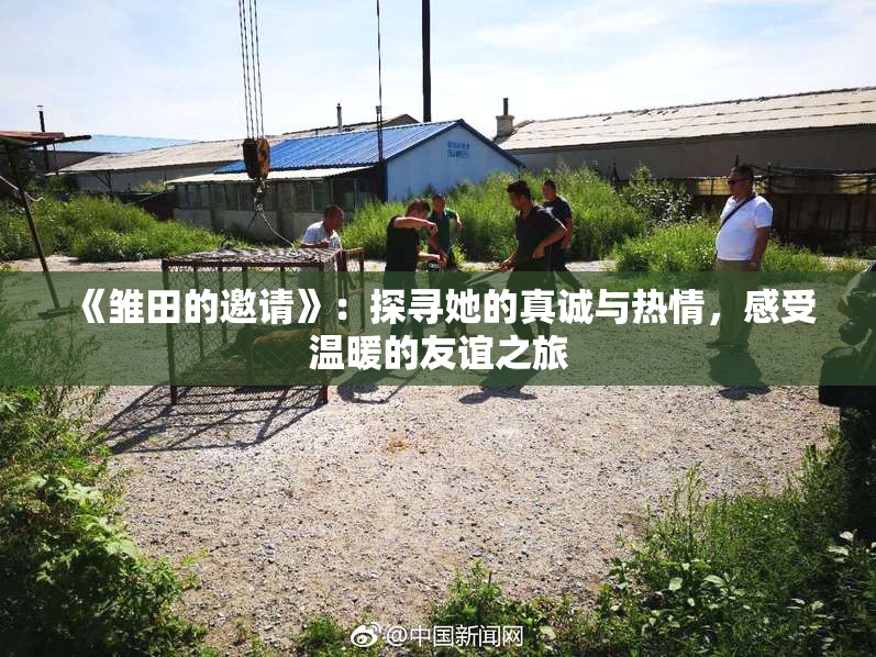 《雏田的邀请》：探寻她的真诚与热情，感受温暖的友谊之旅