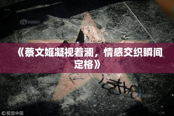 《蔡文姬凝视着澜，情感交织瞬间定格》