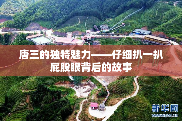 唐三的独特魅力——仔细扒一扒屁股眼背后的故事