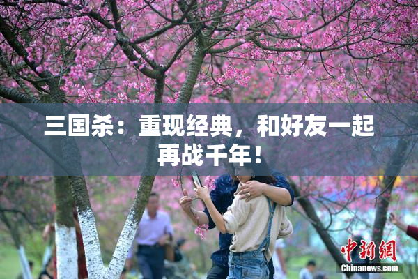 三国杀：重现经典，和好友一起再战千年！