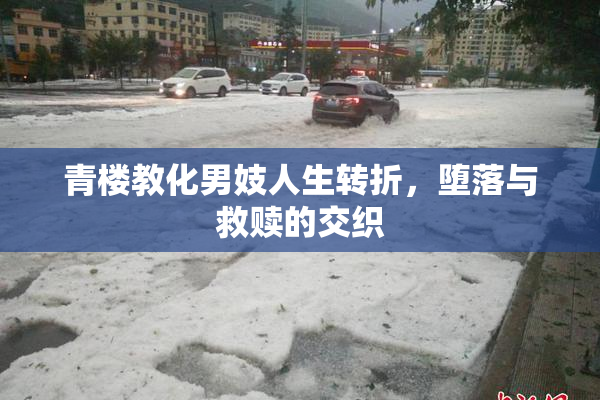 青楼教化男妓人生转折，堕落与救赎的交织
