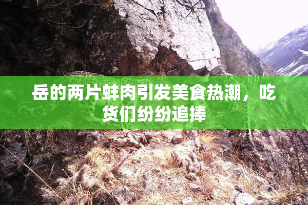 岳的两片蚌肉引发美食热潮，吃货们纷纷追捧