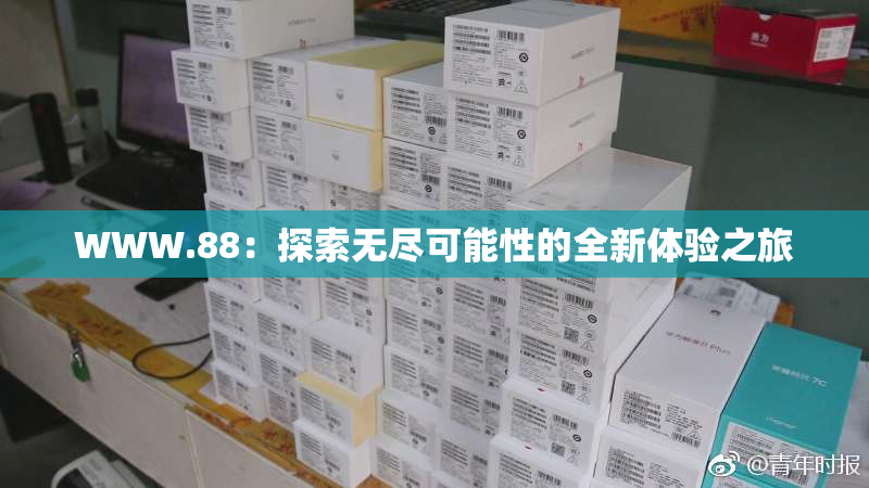 WWW.88：探索无尽可能性的全新体验之旅