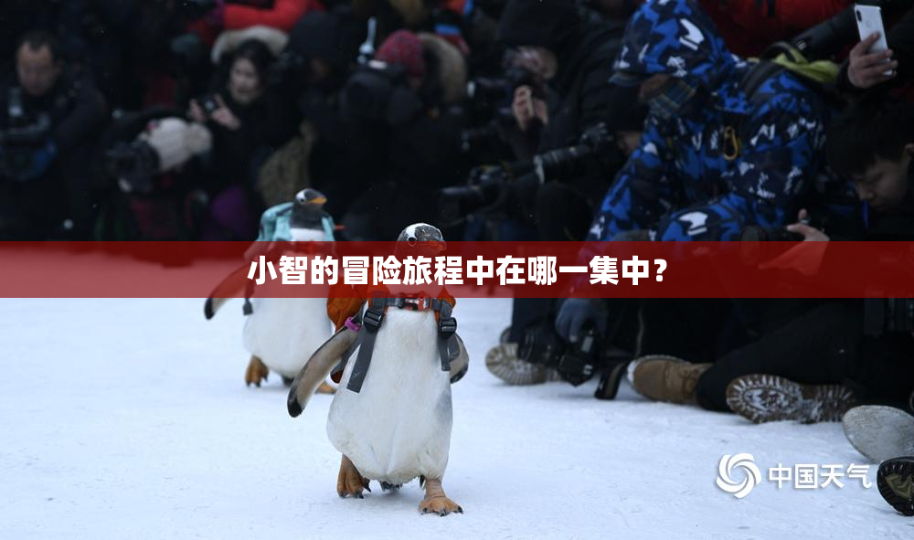 小智的冒险旅程中在哪一集中？