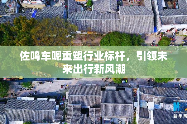 佐鸣车嗯重塑行业标杆，引领未来出行新风潮